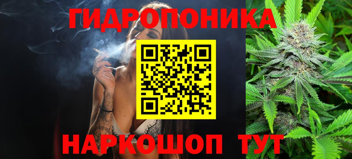 МАРИХУАНА конопля  Конопля AK-47  Вход с VPN  Бошки Шишки White Widow  Котлас 