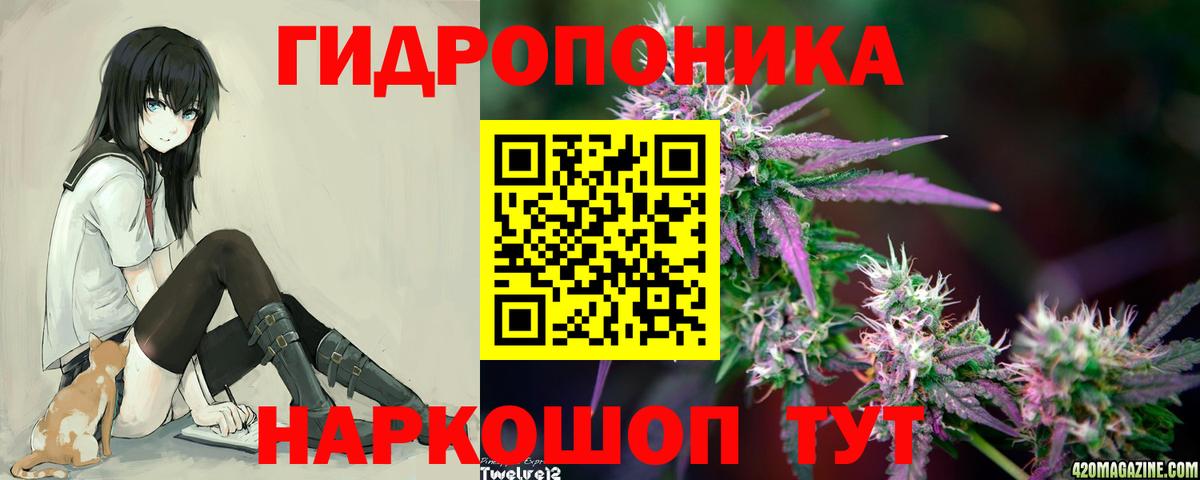 Бошки марихуана семена Котлас